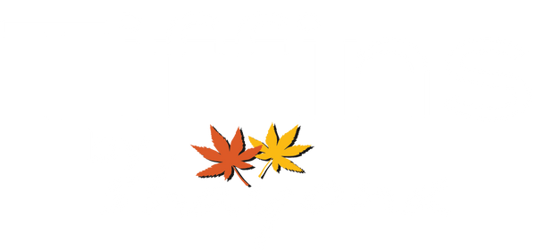 Tiffins by Shayona